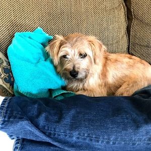 Meet your Posher, Oli